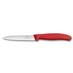 Victorinox coltello spelucchino 10 cm